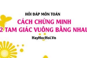 Cách chứng minh hai tam giác Vuông bằng nhau - Hỏi đáp môn Toán